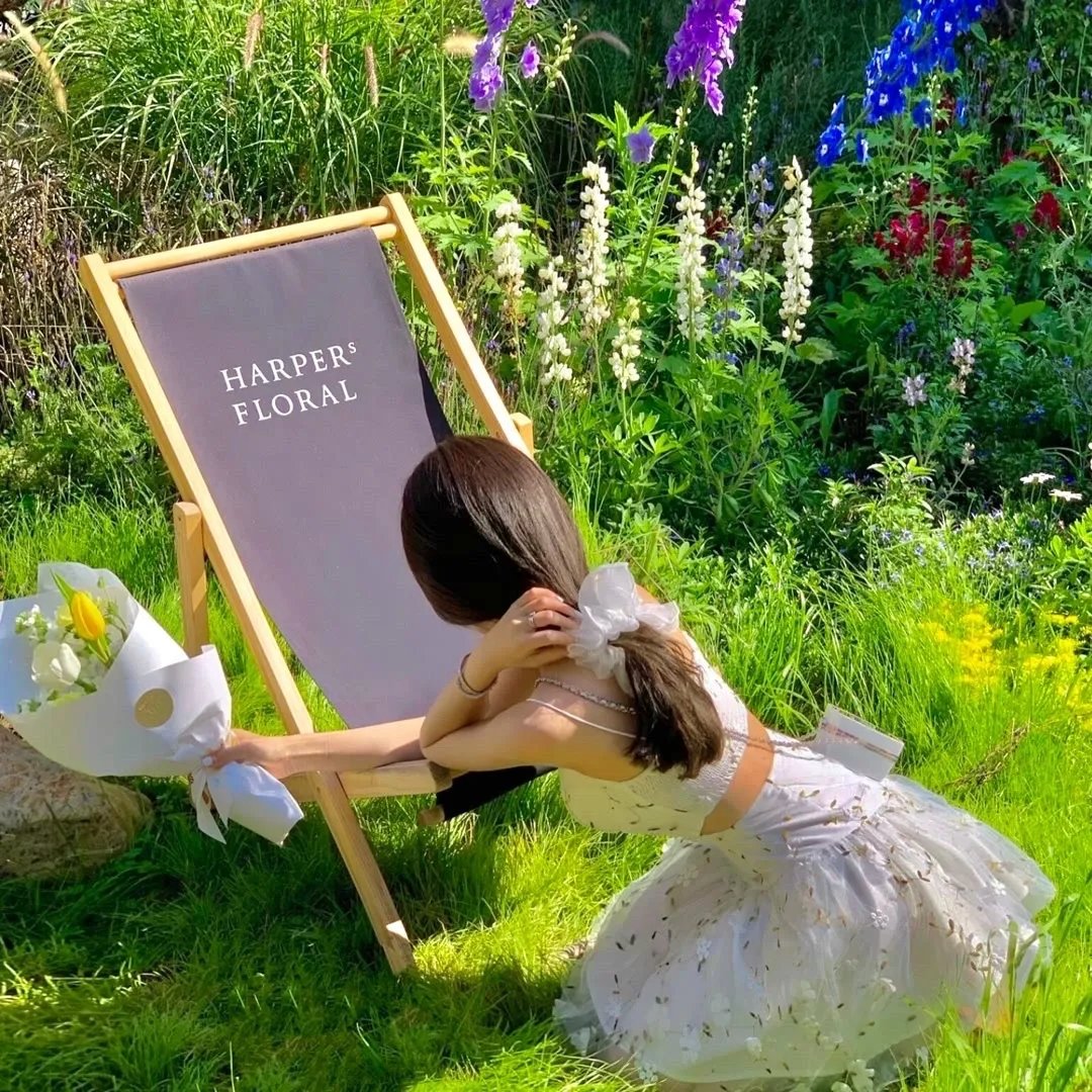 费雪小姐和泪之穴